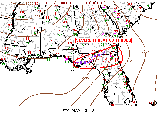 Mesoscale Discussion 42