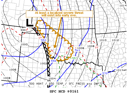 Mesoscale Discussion 161