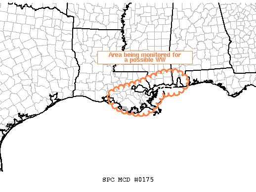 Mesoscale Discussion 175