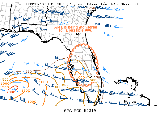 Mesoscale Discussion 219