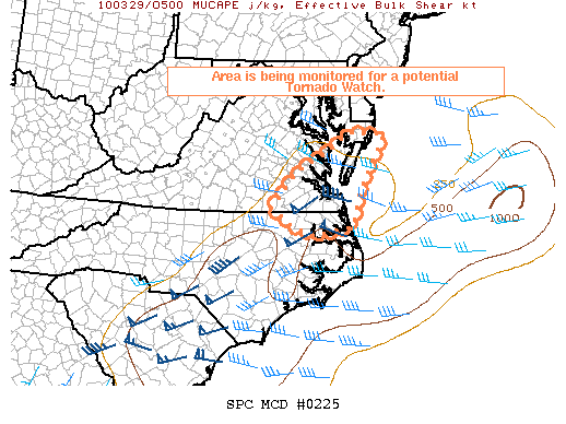 Mesoscale Discussion 225