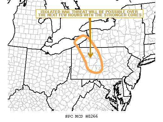Mesoscale Discussion 266