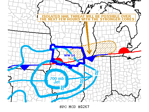 Mesoscale Discussion 267