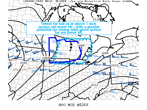 Mesoscale Discussion 268