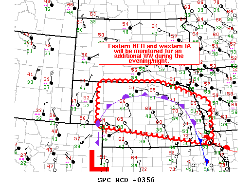 Mesoscale Discussion 356