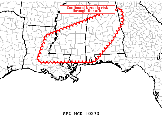 Mesoscale Discussion 373