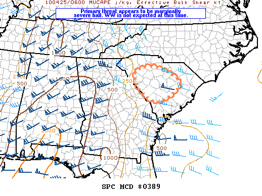 Mesoscale Discussion 389