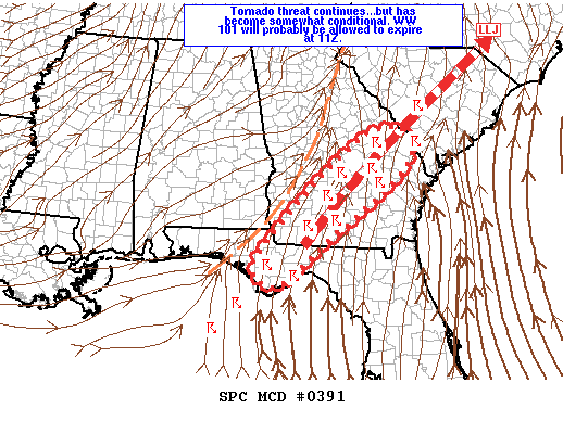 Mesoscale Discussion 391