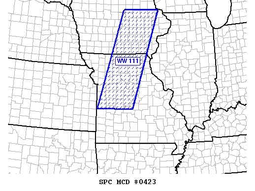 Mesoscale Discussion 423