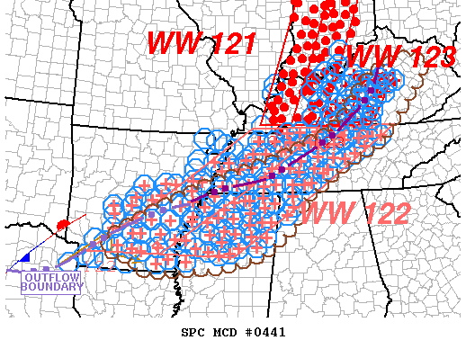 Mesoscale Discussion 441