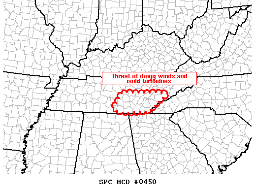 Mesoscale Discussion 450