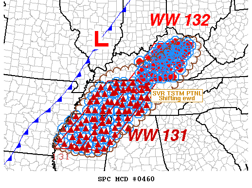 Mesoscale Discussion 460