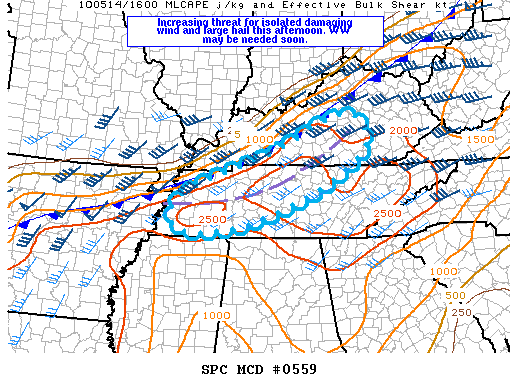 Mesoscale Discussion 559