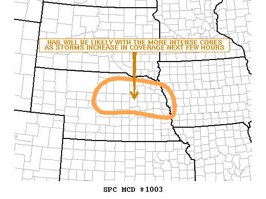 Mesoscale Discussion 1003