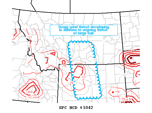 Mesoscale Discussion 1042