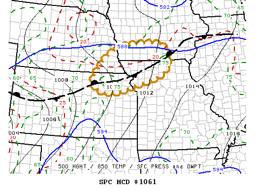 Mesoscale Discussion 1061