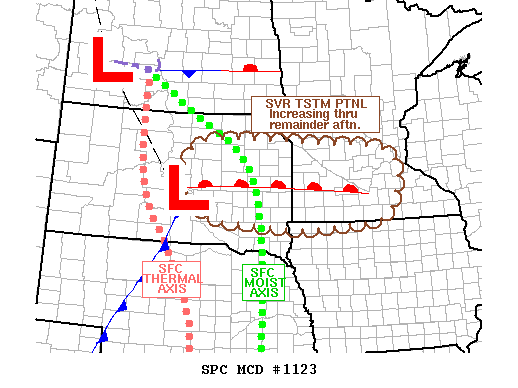 Mesoscale Discussion 1123