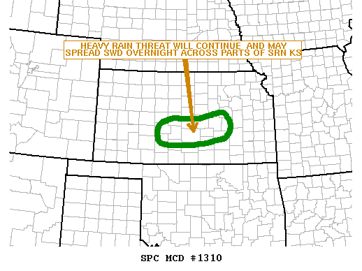 Mesoscale Discussion 1310