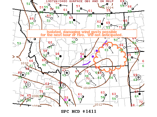 Mesoscale Discussion 1411