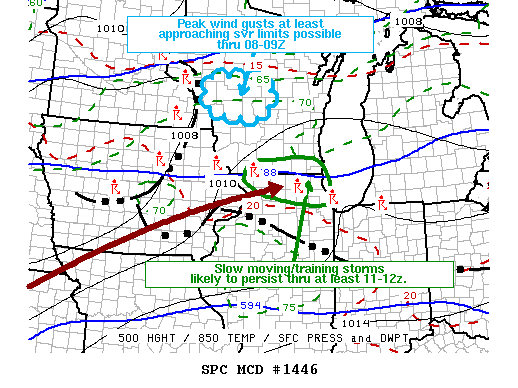 Mesoscale Discussion 1446