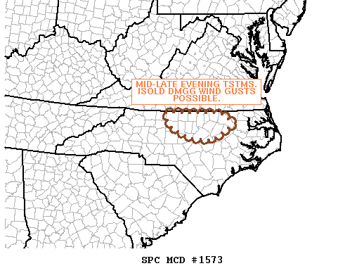 Mesoscale Discussion 1573