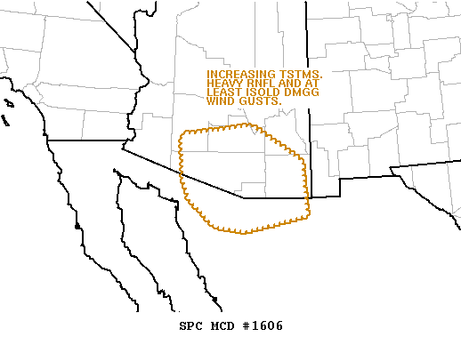 Mesoscale Discussion 1606
