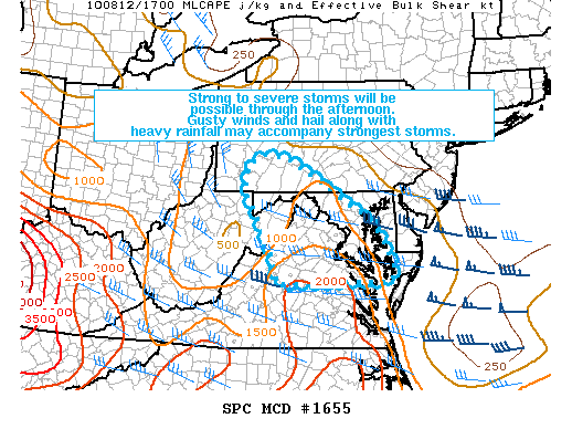 Mesoscale Discussion 1655