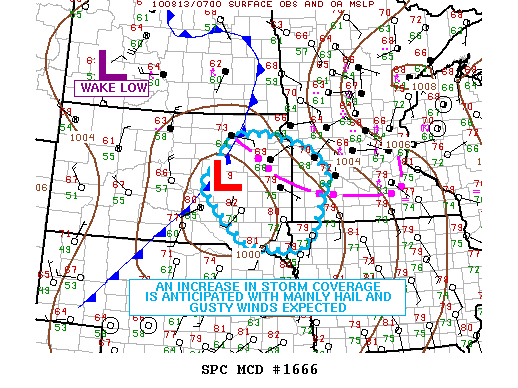 Mesoscale Discussion 1666