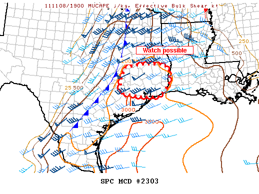 Mesoscale Discussion 2303