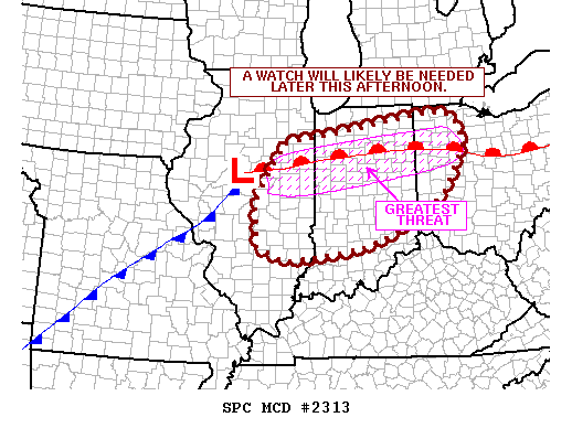 Mesoscale Discussion 2313