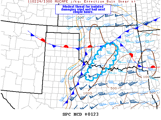 Mesoscale Discussion 123