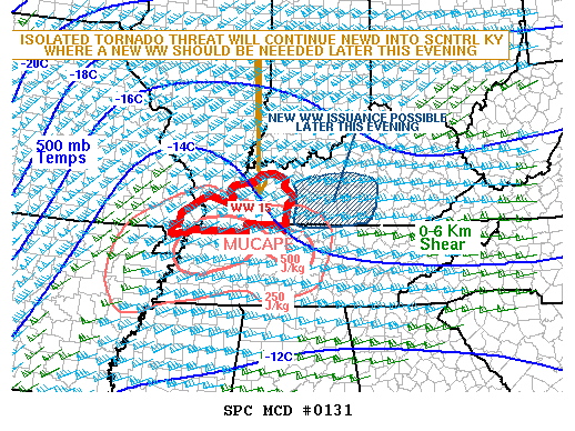 Mesoscale Discussion 131