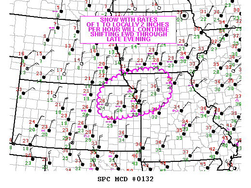 Mesoscale Discussion 132