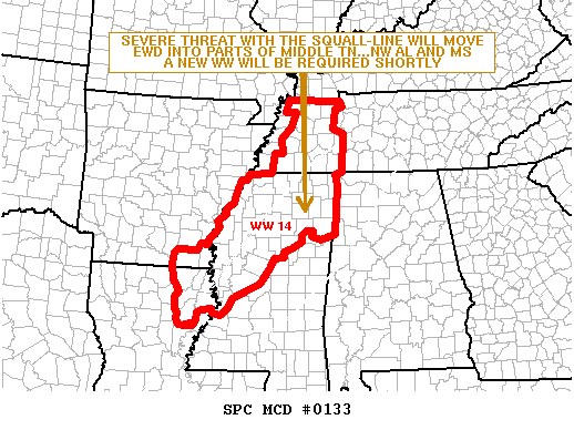 Mesoscale Discussion 133