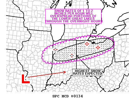 Mesoscale Discussion 134
