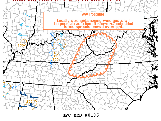 Mesoscale Discussion 136