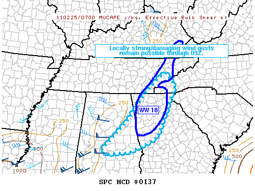 Mesoscale Discussion 137