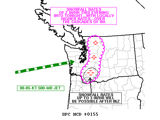 Mesoscale Discussion 155