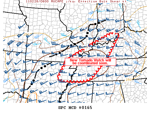 Mesoscale Discussion 165