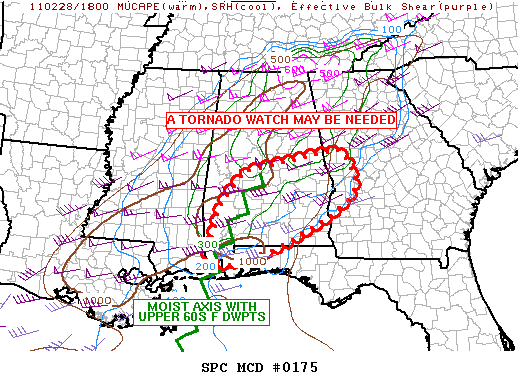 Mesoscale Discussion 175