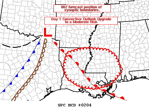 Mesoscale Discussion 204