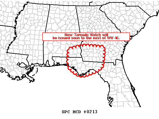 Mesoscale Discussion 213