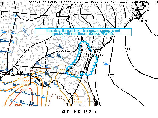 Mesoscale Discussion 219