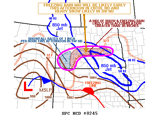 Mesoscale Discussion 245