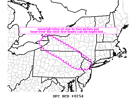 Mesoscale Discussion 254