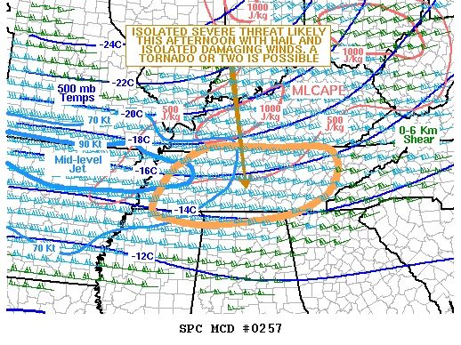 Mesoscale Discussion 257
