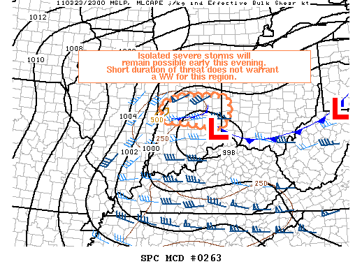 Mesoscale Discussion 263
