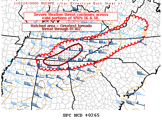 Mesoscale Discussion 265