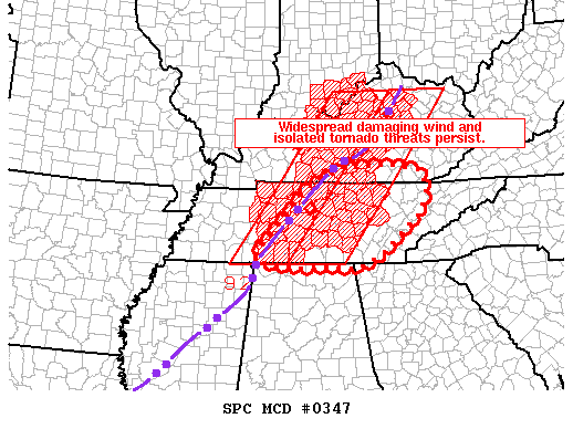 Mesoscale Discussion 347