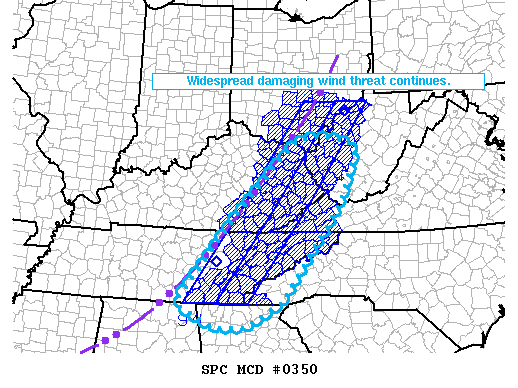 Mesoscale Discussion 350